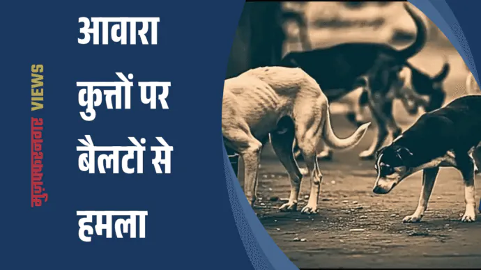 मुज़फ्फरनगर में कुत्तों पर हमला